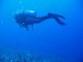 dive-buddy