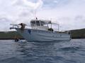 Mike Severns diveboat (theyre the best!)